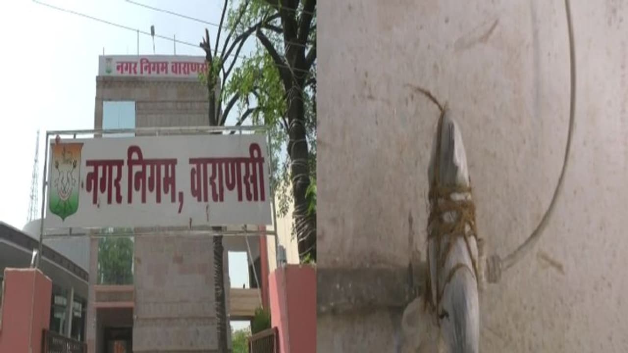 Ground Report: वाराणसी नगर निगम की खुली पोल, भीषण गर्मी में पानी के लिए तरस रहे कर्मचारी और शिकायतकर्ता Ground Report: वाराणसी नगर निगम की खुली पोल, भीषण गर्मी में पानी के लिए तरस रहे कर्मचारी और शिकायतकर्ता