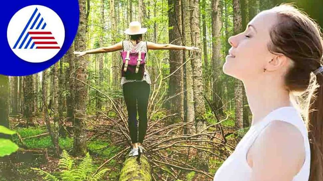 Mental Health: ಪ್ರಕೃತಿಯ ಸದ್ದು ಆಲಿಸಿ, ಖುಷಿಯಾಗಿರಿ Mental Health: ಪ್ರಕೃತಿಯ ಸದ್ದು ಆಲಿಸಿ, ಖುಷಿಯಾಗಿರಿ