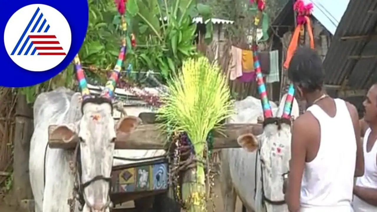 Ugadi 2022: ಯುಗಾದಿ ದಿನದಂದು ಚಾಮರಾಜನಗರದಲ್ಲಿ ಹೊನ್ನೇರು ಸಂಭ್ರಮ Ugadi 2022: ಯುಗಾದಿ ದಿನದಂದು ಚಾಮರಾಜನಗರದಲ್ಲಿ ಹೊನ್ನೇರು ಸಂಭ್ರಮ