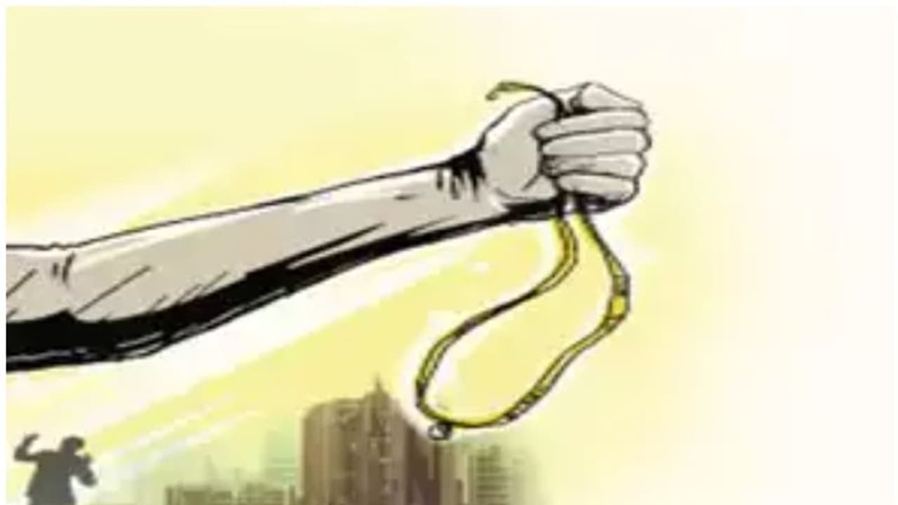 മാല മോഷ്ടിച്ച് രക്ഷപ്പെടുന്നതിടെ ബൈക്ക് അപകടത്തില്‍പ്പെട്ടു; ഒരാള്‍ മരിച്ചു 