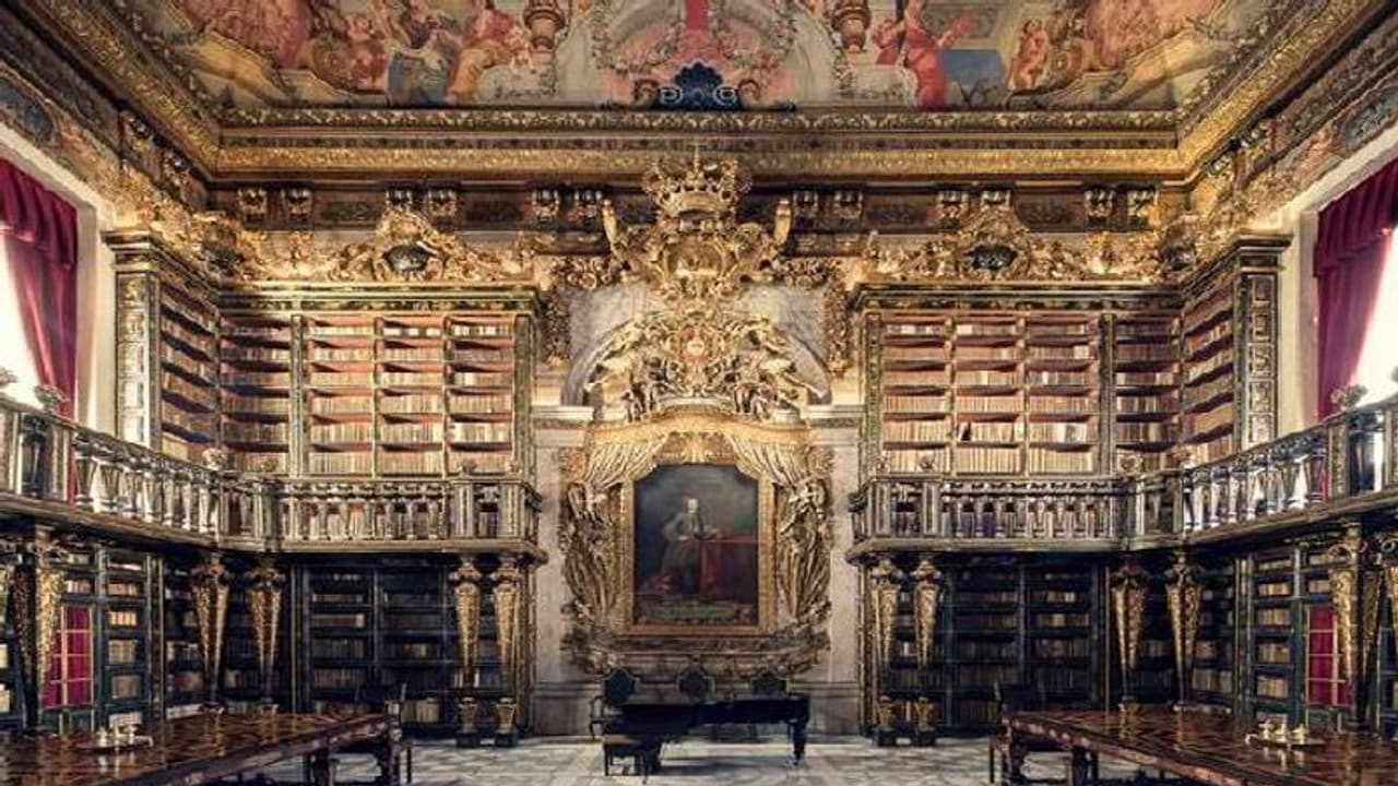 ഈ ലൈബ്രറിയിൽ പുസ്തകങ്ങൾക്ക് കാവൽക്കാരായി വവ്വാലുകൾ!