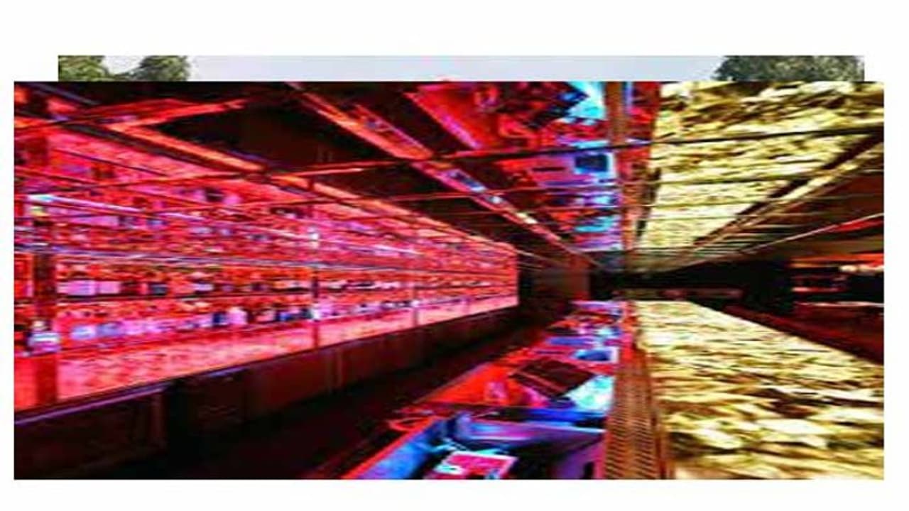 పుడింగ్ మింక్ పబ్ కేసు: పోలీసులతో ఆ ఇద్దరి ఛాటింగ్ పుడింగ్ మింక్ పబ్ కేసు: పోలీసులతో ఆ ఇద్దరి ఛాటింగ్