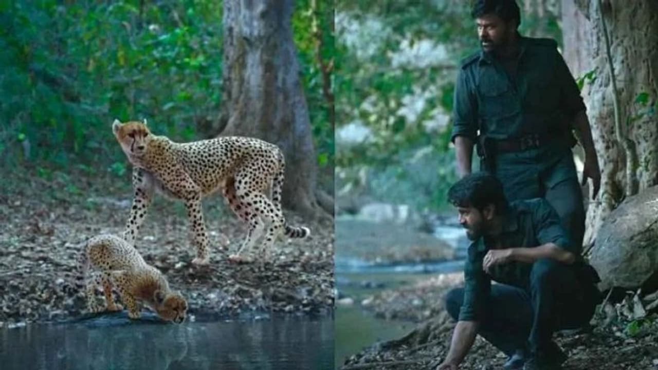 Acharya: మెగా బ్లాస్ట్ కి అంతా రెడీ.. చిరంజీవి 'ఆచార్య' ట్రైలర్ రిలీజ్ డేట్ ఫిక్స్ 