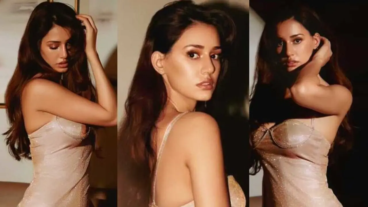 Can you guess which South actor will Disha Patani be next seen with? Can you guess which South actor will Disha Patani be next seen with?