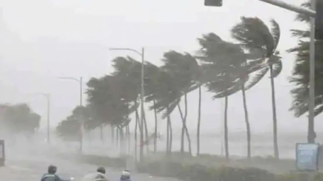 Tamilnadu rain: தொடர்ந்து 4 நாட்களுக்கு மழை.. எந்தெந்த பகுதிகளில் விடாமல் கொட்டி தீர்க்க போகிறது..? வானிலை