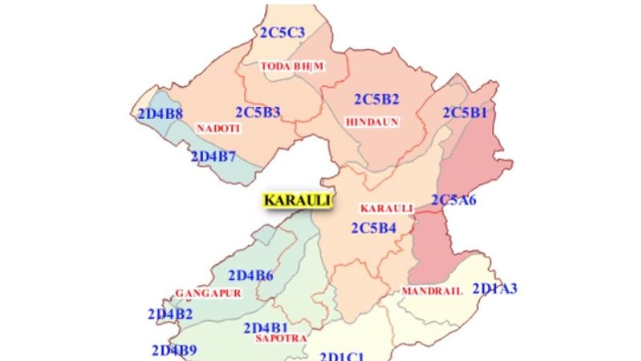 ബൈക്ക് റാലിക്കിടെ കല്ലേറെന്ന് ആരോപണം; രാജസ്ഥാനിൽ വർ​ഗീയ സംഘർഷം, കർഫ്യൂ