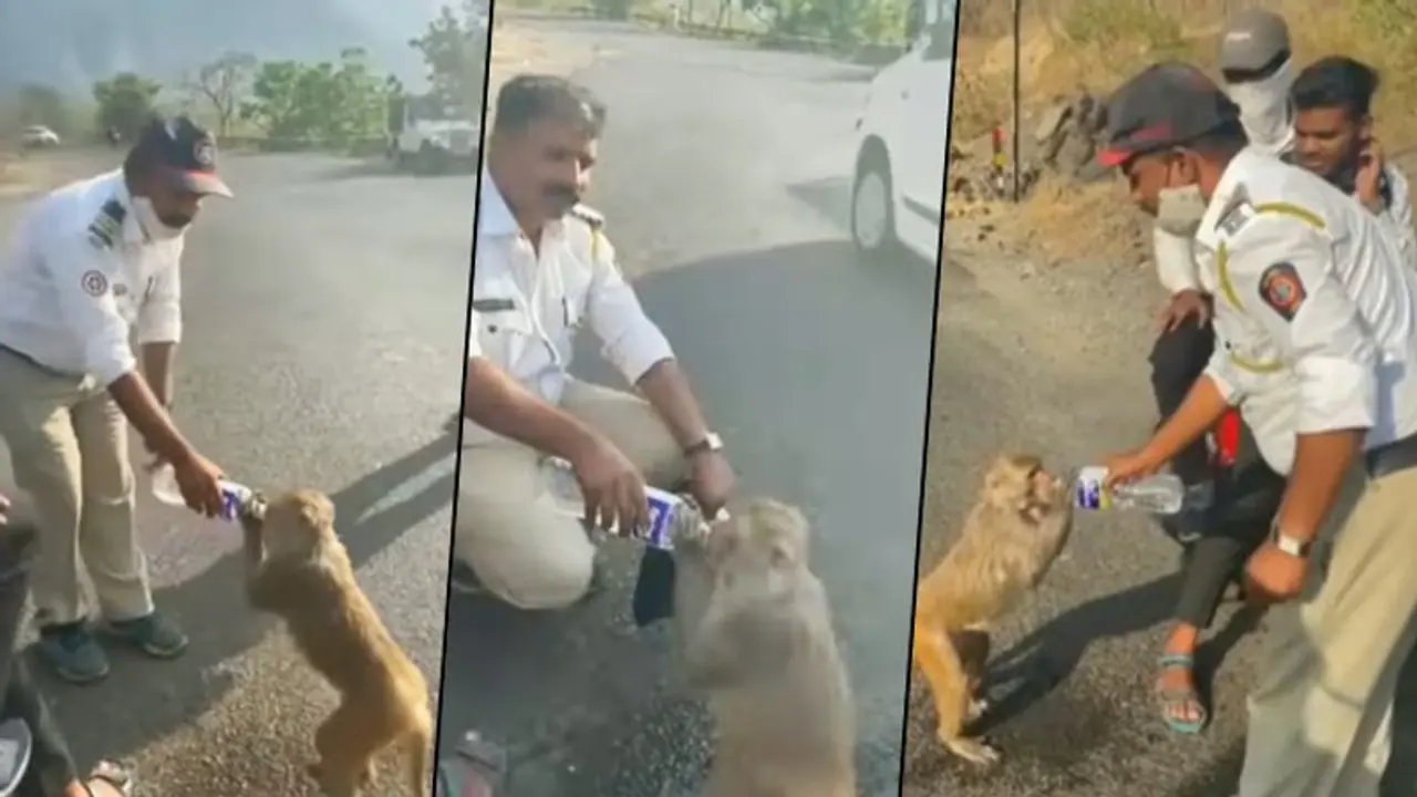 Watch this heartfelt video of Maharashtra cop helping monkey to drink water from a bottle
