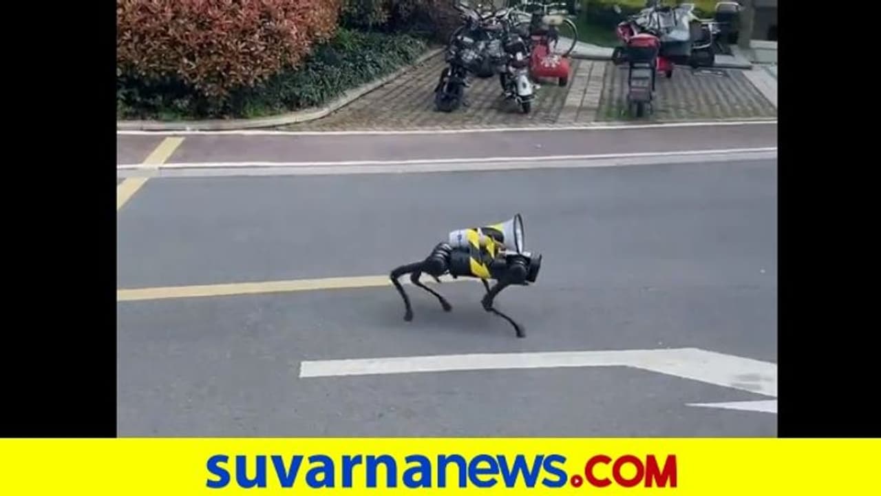 ಲಾಕ್‌ಡೌನ್‌ :ಶಾಂಘೈನ ಖಾಲಿ ಬೀದಿಯಲ್ಲಿ ಗಸ್ತು ತಿರುಗುತ್ತಿರುವ ರೋಬೋ ನಾಯಿ