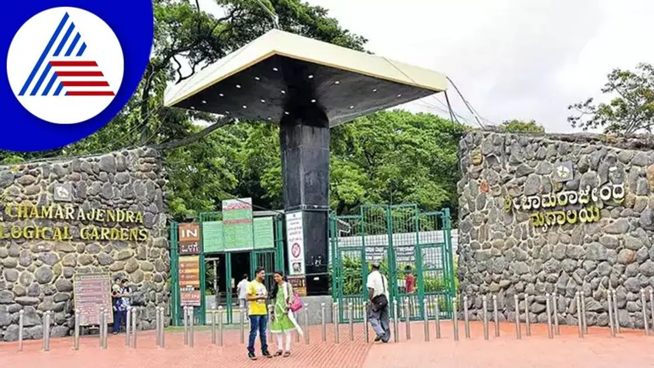 Christmas rush in Karnataka: Over 40,000 tourists visited Mysuru Zoo during festive season