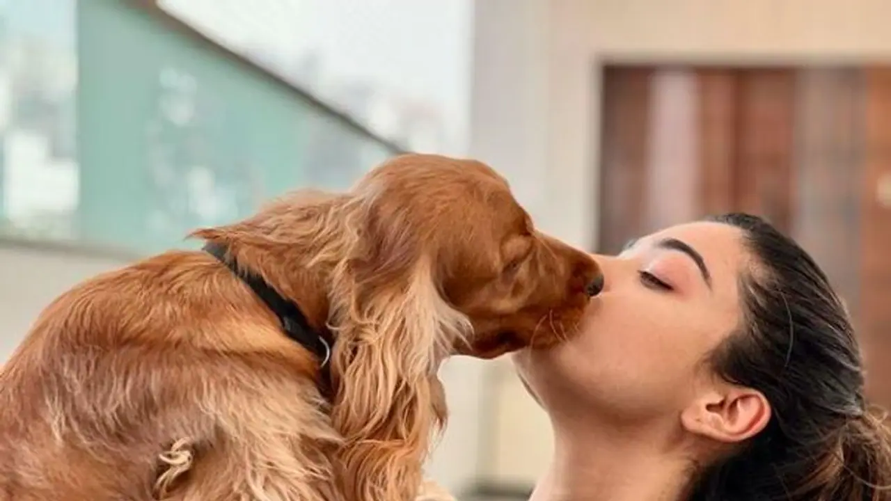 National Pet Day 2022: Wishes, History, Significance, Facebook and WhatApp Quotes