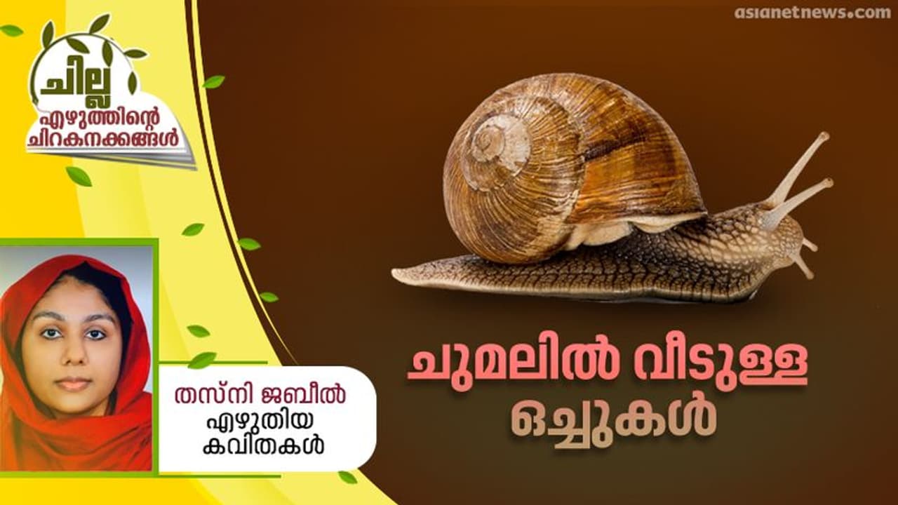 Malayalam Poem : ചുമലില്‍ വീടുള്ള ഒച്ചുകള്‍, തസ്നി ജബീല്‍ എഴുതിയ കവിതകള്‍