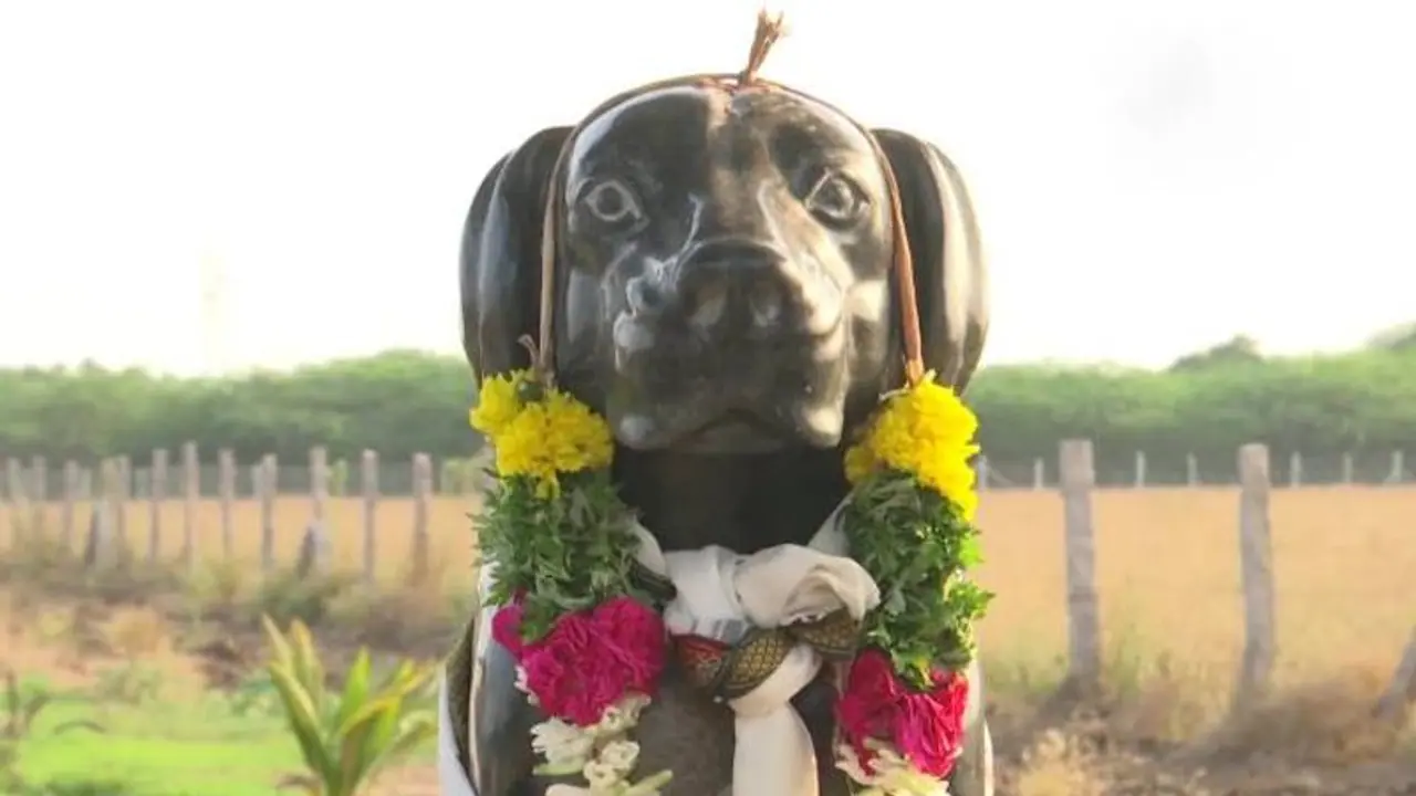 நாய்க்கு மார்பிள் சிலை, எதிர்காலத்தில் கோயில்.. பொங்கி வழியும் பெட் லவ்வர்ஸ் பாசம்.. சிவகங்கையில் சுவாரஸ்யம்!