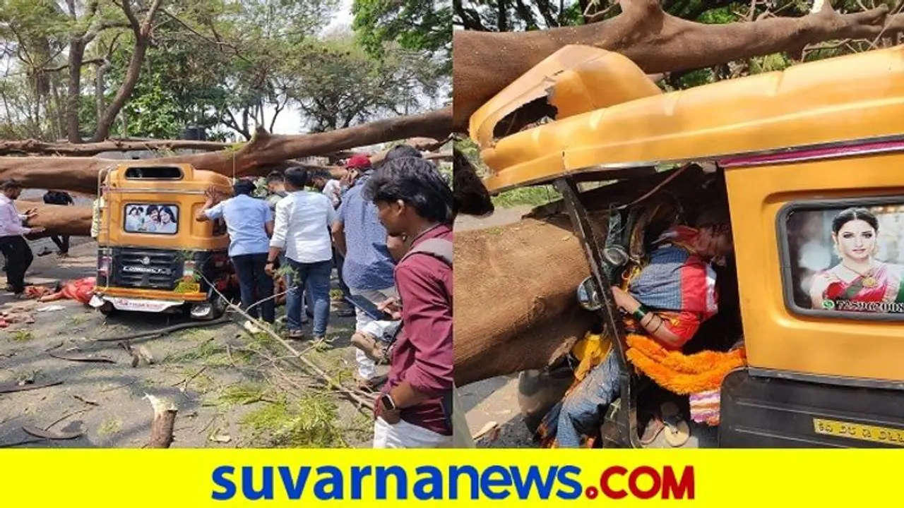 ಚಲಿಸುತ್ತಿದ್ದ ಆಟೋ ಮೇಲೆ ಮರ ಬಿದ್ದು ಮಹಿಳೆ ಸಾವು, 5 ಜನರಿಗೆ ಗಾಯ..!