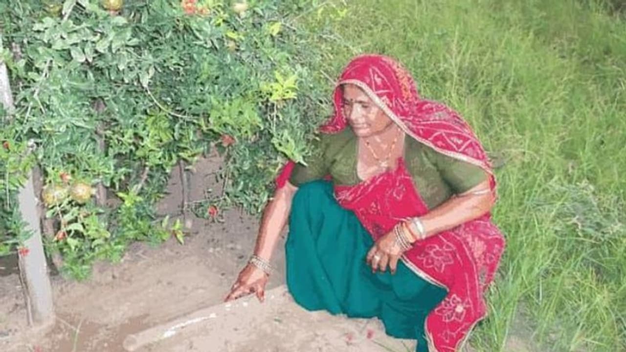 राजस्थान की इस महिला के पास गजब का टैलेंट: खेती को लेकर निकाला ऐसा फॉर्मूला कि हर कोई कर रहा सैल्यूट राजस्थान की इस महिला के पास गजब का टैलेंट: खेती को लेकर निकाला ऐसा फॉर्मूला कि हर कोई कर रहा सैल्यूट