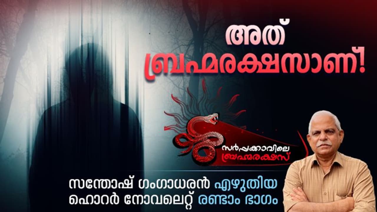 Horror Novelette: 'നിങ്ങളുടെ തറവാട്ടില് ബ്രഹ്മരക്ഷസ്സിന്റെ സാന്നിദ്ധ്യം കാണുന്നുണ്ട്!' Horror Novelette: 'നിങ്ങളുടെ തറവാട്ടില് ബ്രഹ്മരക്ഷസ്സിന്റെ സാന്നിദ്ധ്യം കാണുന്നുണ്ട്!'