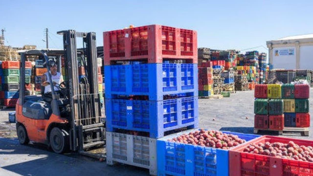 Agriculture Exports : ഇന്ത്യയുടെ കാർഷിക കയറ്റുമതി ചരിത്രത്തിലെ ഏറ്റവും ഉയർന്ന നിലയിൽ Agriculture Exports : ഇന്ത്യയുടെ കാർഷിക കയറ്റുമതി ചരിത്രത്തിലെ ഏറ്റവും ഉയർന്ന നിലയിൽ