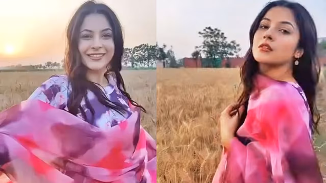 गेहूं की बालियों के बीच नाचती दिखीं Shehnaaz Gill, एक्ट्रेस ने दिखाई अपने खूबसूरत गांव की झलक गेहूं की बालियों के बीच नाचती दिखीं Shehnaaz Gill, एक्ट्रेस ने दिखाई अपने खूबसूरत गांव की झलक