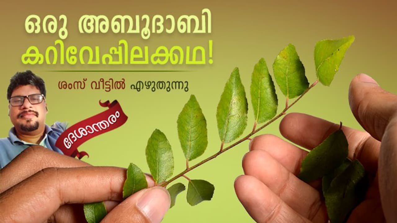 നാട്ടില്നിന്നും ഗള്ഫിലേക്ക് ഒരു വിഐപി കറിവേപ്പിലയുടെ യാത്ര! നാട്ടില്നിന്നും ഗള്ഫിലേക്ക് ഒരു വിഐപി കറിവേപ്പിലയുടെ യാത്ര!