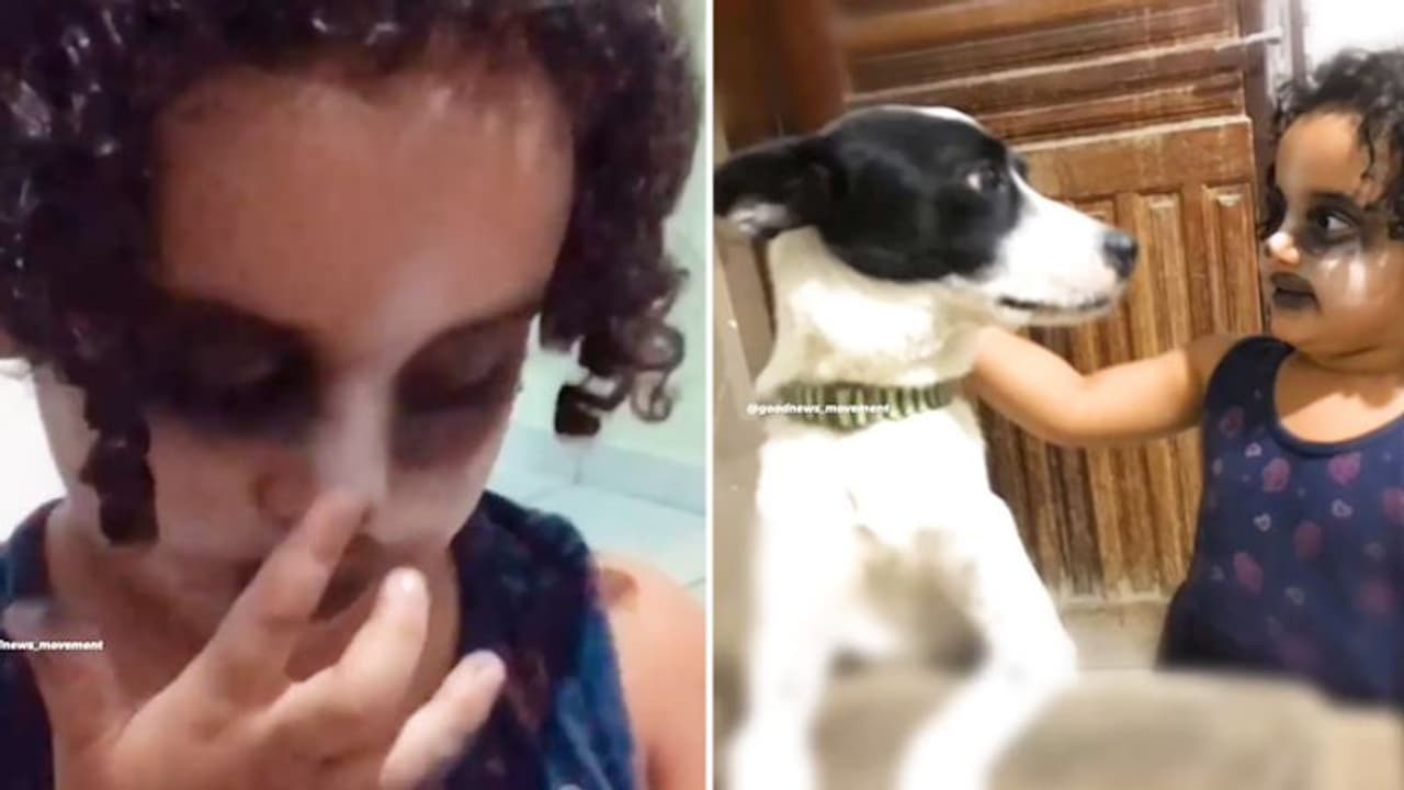 Toddler puts up makeup to look like her pet dog; internet can't keep calm