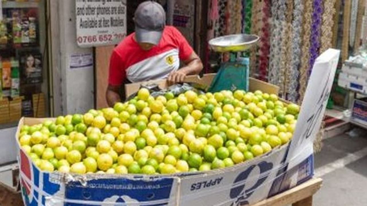 राजस्थान में पेट्रोल डीजल से 3 गुना महंगा बिक रहा नीबू, 5 दिन में 70 से 300 रूपए KG तक पहुंचा, जानिए इसकी वजह राजस्थान में पेट्रोल डीजल से 3 गुना महंगा बिक रहा नीबू, 5 दिन में 70 से 300 रूपए KG तक पहुंचा, जानिए इसकी वजह