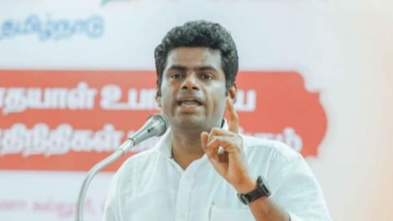 நீட் தேர்வால் அரசுப்பள்ளி மாணவர்கள் இனி அரசு மருத்துவர்களாகலாம்.. மார்தட்டும் அண்ணாமலை. நீட் தேர்வால் அரசுப்பள்ளி மாணவர்கள் இனி அரசு மருத்துவர்களாகலாம்.. மார்தட்டும் அண்ணாமலை.