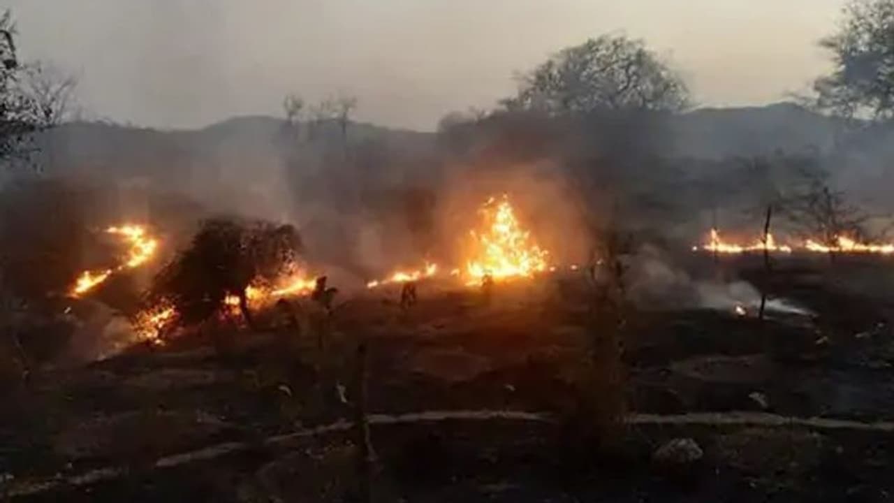 राजस्थान के उदयपुर में आग से धधक रहे जंगल: 4 दिन से लगी भयानक आग, कई हैक्टेयर जंगल जलकर राख राजस्थान के उदयपुर में आग से धधक रहे जंगल: 4 दिन से लगी भयानक आग, कई हैक्टेयर जंगल जलकर राख