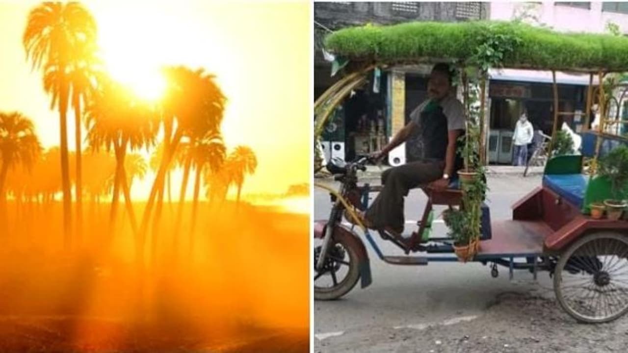 கொளுத்தும் வெயிலில் வெளியில் சுற்ற புது ஐடியா? ரிக்ஷாவில் சிறிய தோட்டத்தையே உருவாக்கி அசத்திய தொழிலாளி..! கொளுத்தும் வெயிலில் வெளியில் சுற்ற புது ஐடியா? ரிக்ஷாவில் சிறிய தோட்டத்தையே உருவாக்கி அசத்திய தொழிலாளி..!