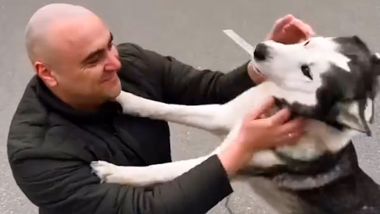 Watch: Dog crying after reuniting with its owner in war torn Ukraine; leaves netizens emotional