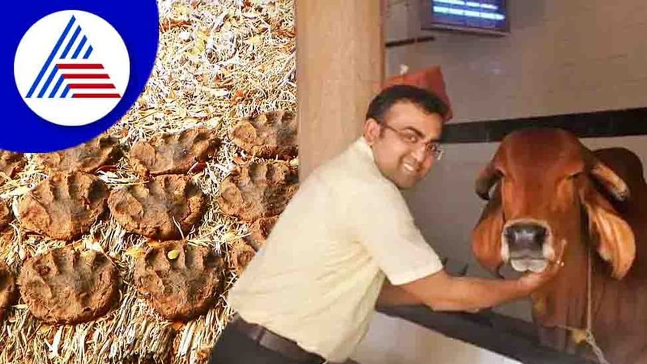 Cow Dung ಅಂತ ಮೂಗು ಮುರೀಬೇಡಿ, ಹಸುವಿನ ಸೆಗಣಿಯಿಂದಲೇ ಕೋಟಿ ಕೋಟಿ ಸಂಪಾದಿಸ್ತಾರೆ !