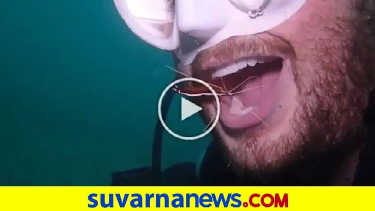ಸ್ಕೂಬಾ ಡೈವರ್‌ ಬಾಯೊಳಗೆ ನುಗ್ಗಿ ಹಲ್ಲು ಸ್ವಚ್ಛಗೊಳಿಸಿದ ಸೀಗಡಿ: ವಿಡಿಯೋ ವೈರಲ್