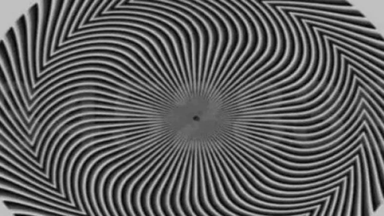 ചിത്രത്തില് എത്ര നമ്പര് നിങ്ങള് കാണുന്നു?; ഈ ചിത്രത്തിന് പിന്നില്.! ചിത്രത്തില് എത്ര നമ്പര് നിങ്ങള് കാണുന്നു?; ഈ ചിത്രത്തിന് പിന്നില്.!