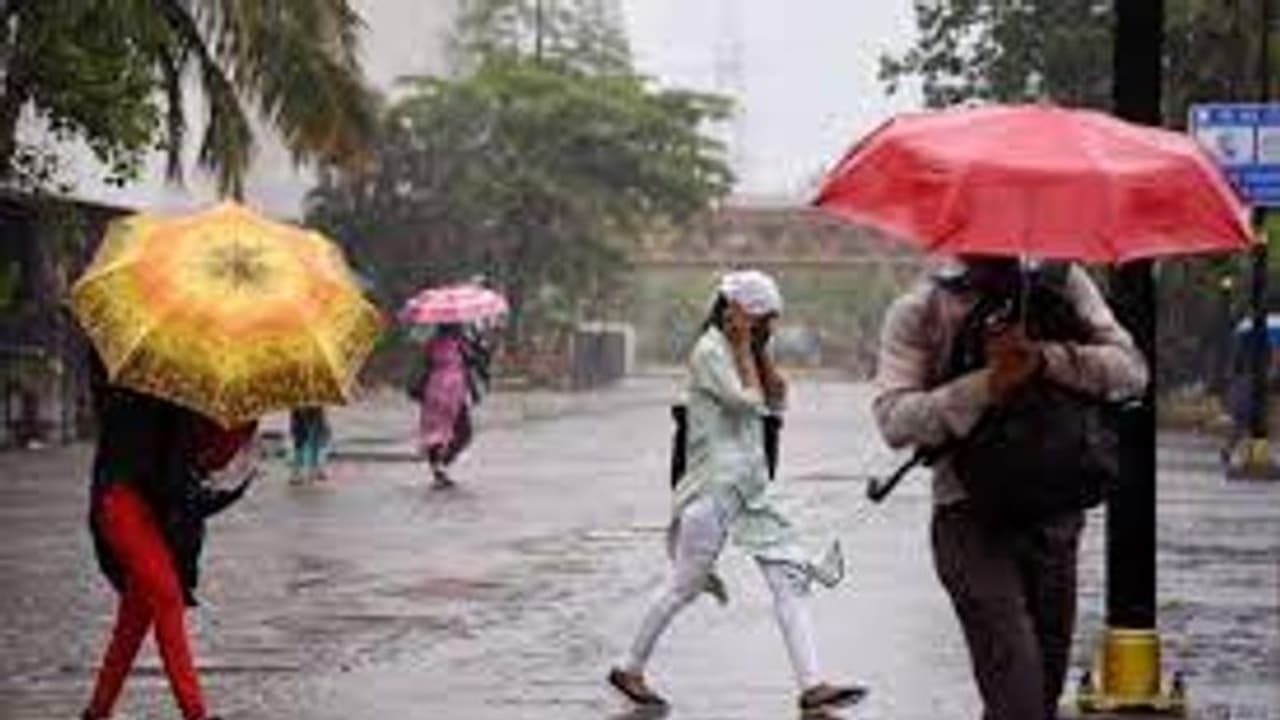 La Nina to prevail; rainfall expected to be mostly uniformly distributed in April: IMD La Nina to prevail; rainfall expected to be mostly uniformly distributed in April: IMD