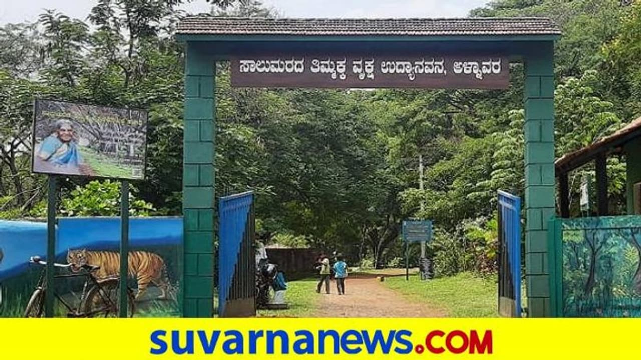 Dharwad: ಅಳ್ನಾವರದಲ್ಲಿ ಕೈ ಬೀಸಿ ಕರೆಯುತ್ತಿದ್ದಾಳೆ ಸಾಲು ಮರದ ತಿಮ್ಮಕ್ಕ..! Dharwad: ಅಳ್ನಾವರದಲ್ಲಿ ಕೈ ಬೀಸಿ ಕರೆಯುತ್ತಿದ್ದಾಳೆ ಸಾಲು ಮರದ ತಿಮ್ಮಕ್ಕ..!