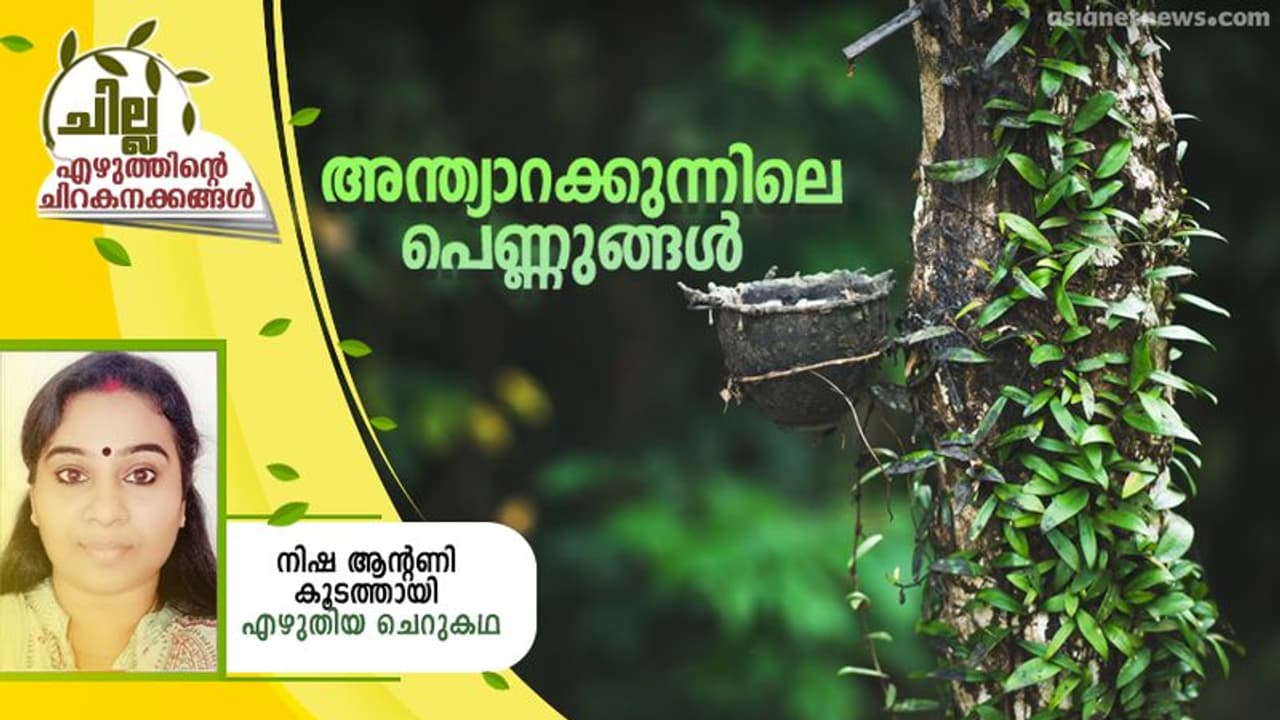 Malayalam Short Story : അന്ത്യാറക്കുന്നിലെ പെണ്ണുങ്ങള്, നിഷ ആന്റണി കൂടത്തായി എഴുതിയ ചെറുകഥ Malayalam Short Story : അന്ത്യാറക്കുന്നിലെ പെണ്ണുങ്ങള്, നിഷ ആന്റണി കൂടത്തായി എഴുതിയ ചെറുകഥ