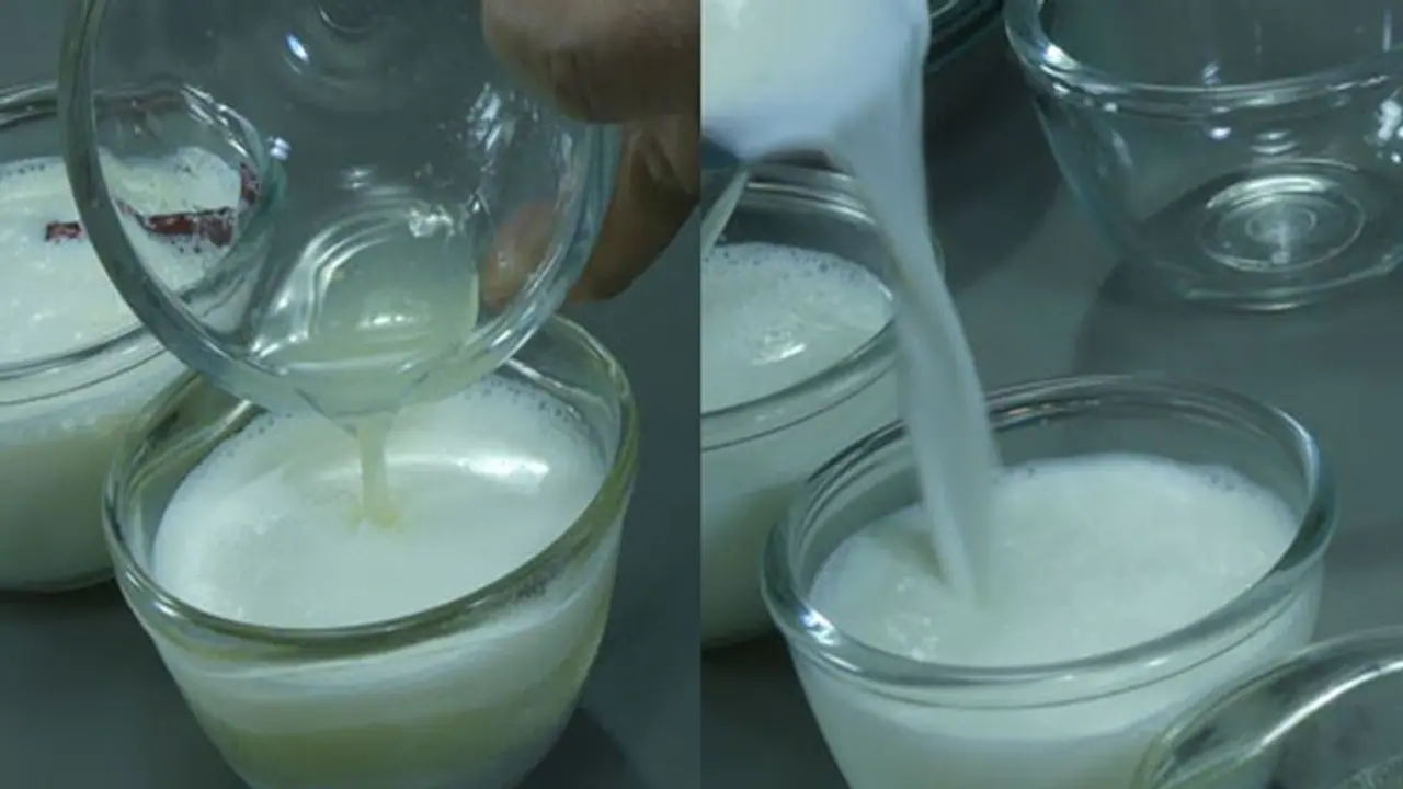 தயிர் vs மோர்: எது பெஸ்ட்? எது அதிக நன்மை தரக்கூடியது?