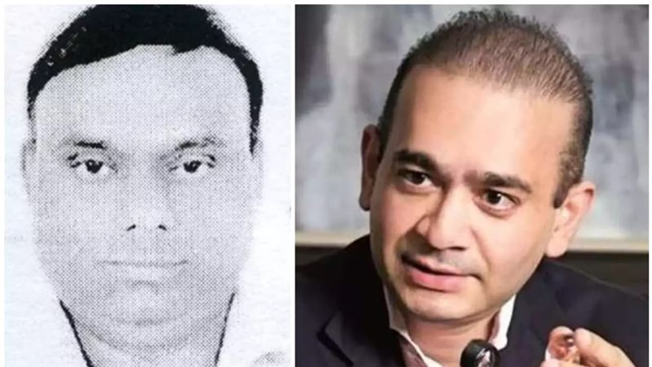 വായ്പ്പാ തട്ടിപ്പ്, നീരവ് മോദിയുടെ സഹായി കെയ്റോയിൽ പിടിയിൽ വായ്പ്പാ തട്ടിപ്പ്, നീരവ് മോദിയുടെ സഹായി കെയ്റോയിൽ പിടിയിൽ