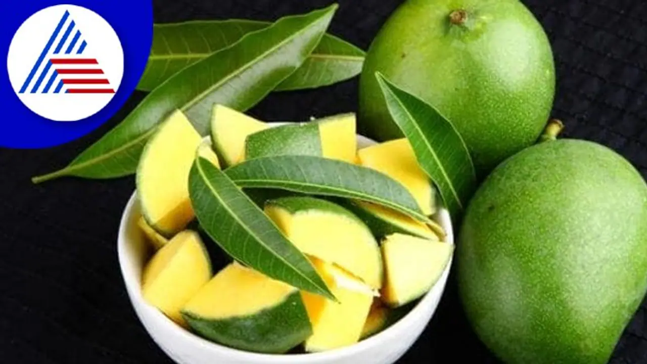 Health Tips : ಕ್ಯಾನ್ಸರ್ ಸೇರಿ ಅನೇಕ ರೋಗಕ್ಕೆ ಮದ್ದು ಮಾವಿನ ಕಾಯಿ Health Tips : ಕ್ಯಾನ್ಸರ್ ಸೇರಿ ಅನೇಕ ರೋಗಕ್ಕೆ ಮದ್ದು ಮಾವಿನ ಕಾಯಿ