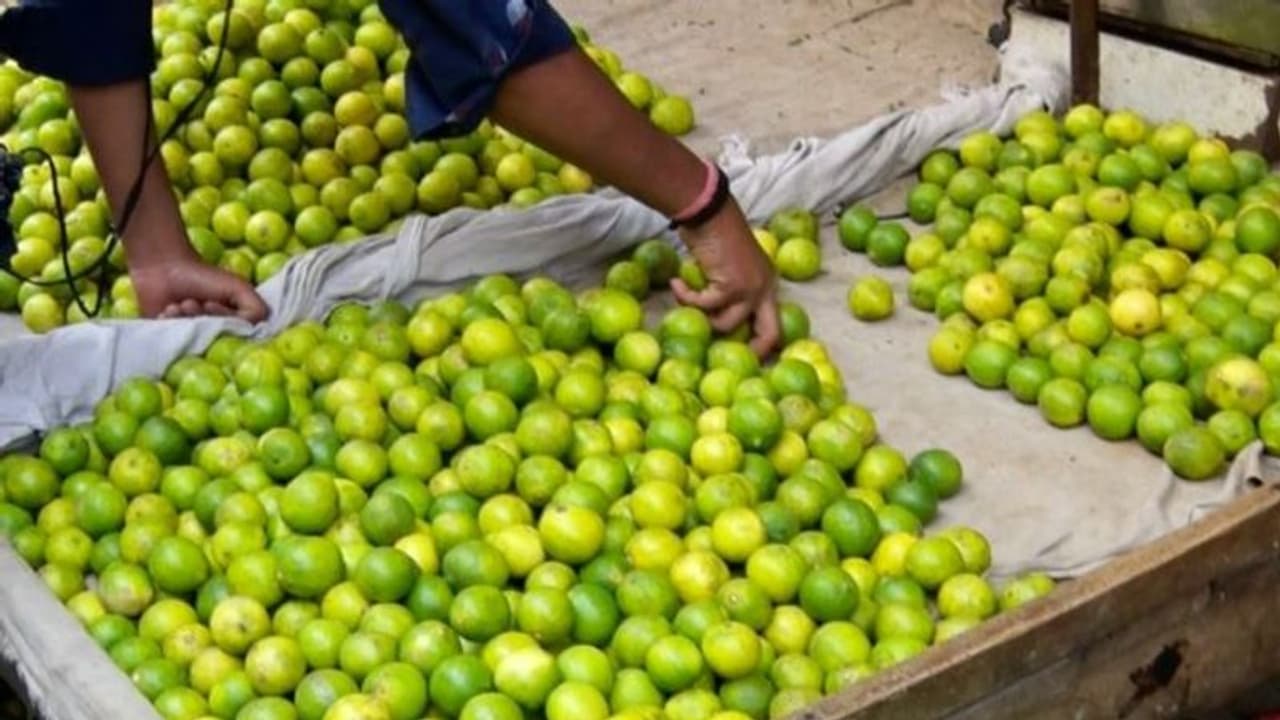 నిమ్మకాయలు, పెట్రోల్ ఫ్రీ ఆఫర్.. మొబైల్ షాప్ సంచలన ప్రకటన.. నెట్టింట హల్‌చల్