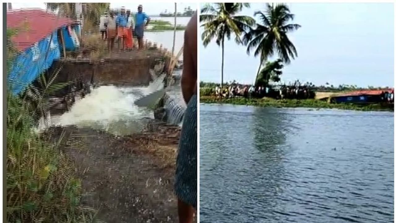 കുട്ടനാട്ടില് 600 ഏക്കര് പാടത്ത് മടവീഴ്ച: ലക്ഷങ്ങളുടെ നഷ്ടമെന്ന് കര്ഷകര് കുട്ടനാട്ടില് 600 ഏക്കര് പാടത്ത് മടവീഴ്ച: ലക്ഷങ്ങളുടെ നഷ്ടമെന്ന് കര്ഷകര്