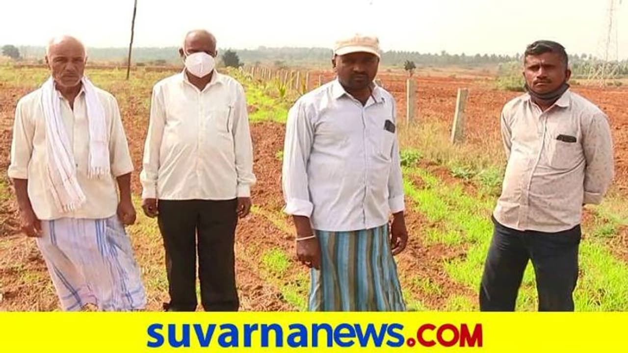 Chikkamagaluru: ಸರ್ಕಾರದ ಯೋಜನೆಯಿಂದ ಗೊಂದಲ: ರೈತರ ಸ್ಥಿತಿ ಅತಂತ್ರ Chikkamagaluru: ಸರ್ಕಾರದ ಯೋಜನೆಯಿಂದ ಗೊಂದಲ: ರೈತರ ಸ್ಥಿತಿ ಅತಂತ್ರ