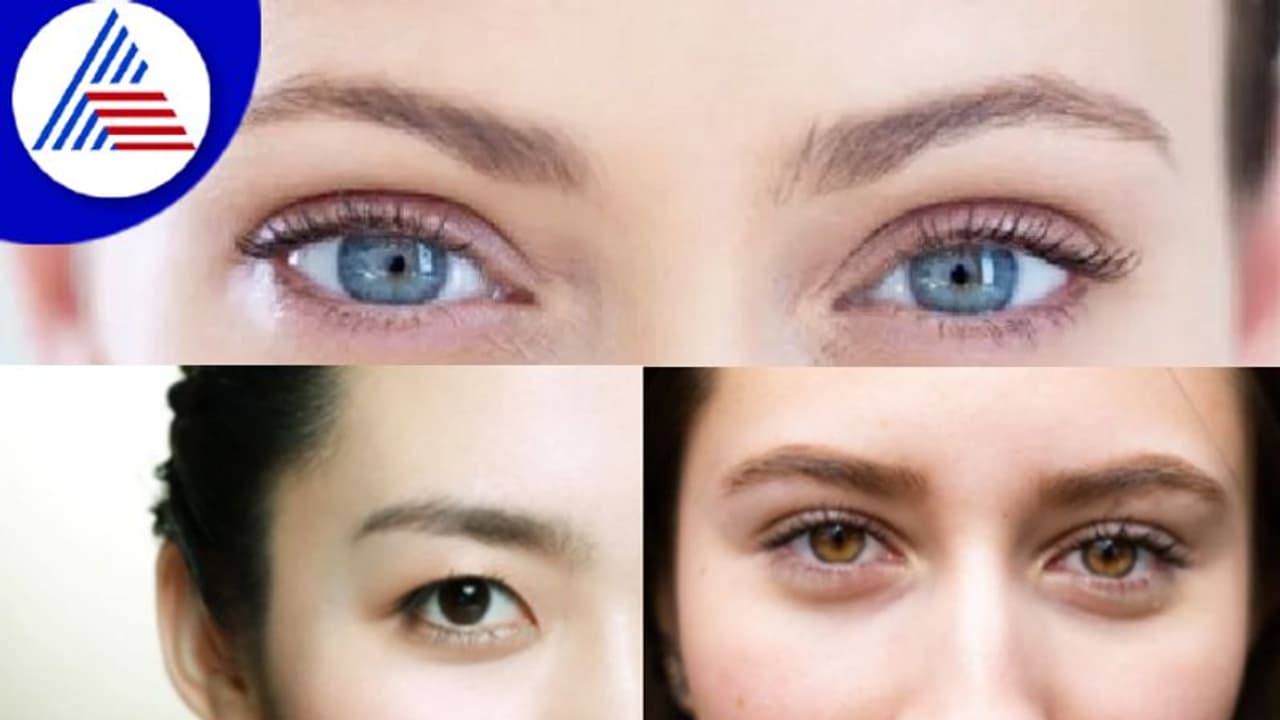 ನಿಮ್ಗೇನು ಕಾಯಿಲೆಯಿದೆ ಅನ್ನೋದನ್ನು ನಿಮ್ಮ ಕಣ್ಣೇ ಹೇಳುತ್ತೆ ನಿಮ್ಗೇನು ಕಾಯಿಲೆಯಿದೆ ಅನ್ನೋದನ್ನು ನಿಮ್ಮ ಕಣ್ಣೇ ಹೇಳುತ್ತೆ