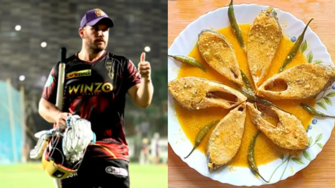 বাঙালির নববর্ষে চান ইলিশের রসনা তৃপ্তি , জানিয়ে দিলেন কেকেআরের অজি তারকা