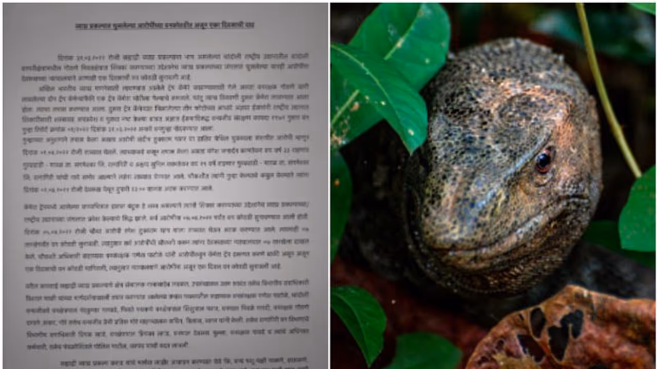 കാട്ടിലെ സിസിടിവിയിൽ യുവാക്കൾ, മൊബൈൽ പരിശോധിച്ച് വനംവകുപ്പ്; ഉടുമ്പിനെ ബലാത്സംഗം ചെയ്യുന്ന ദൃശ്യങ്ങൾ, അറസ്റ്റ് കാട്ടിലെ സിസിടിവിയിൽ യുവാക്കൾ, മൊബൈൽ പരിശോധിച്ച് വനംവകുപ്പ്; ഉടുമ്പിനെ ബലാത്സംഗം ചെയ്യുന്ന ദൃശ്യങ്ങൾ, അറസ്റ്റ്