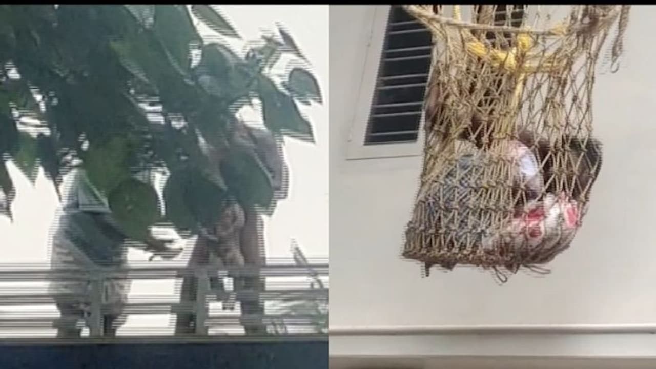 ആറ് മാസം പ്രായമായ സ്വന്തം കുഞ്ഞിന്റെ കഴുത്തിൽ കത്തി വച്ച് കൊല്ലുമെന്ന് യുവാവിന്റെ ഭീഷണി ആറ് മാസം പ്രായമായ സ്വന്തം കുഞ്ഞിന്റെ കഴുത്തിൽ കത്തി വച്ച് കൊല്ലുമെന്ന് യുവാവിന്റെ ഭീഷണി