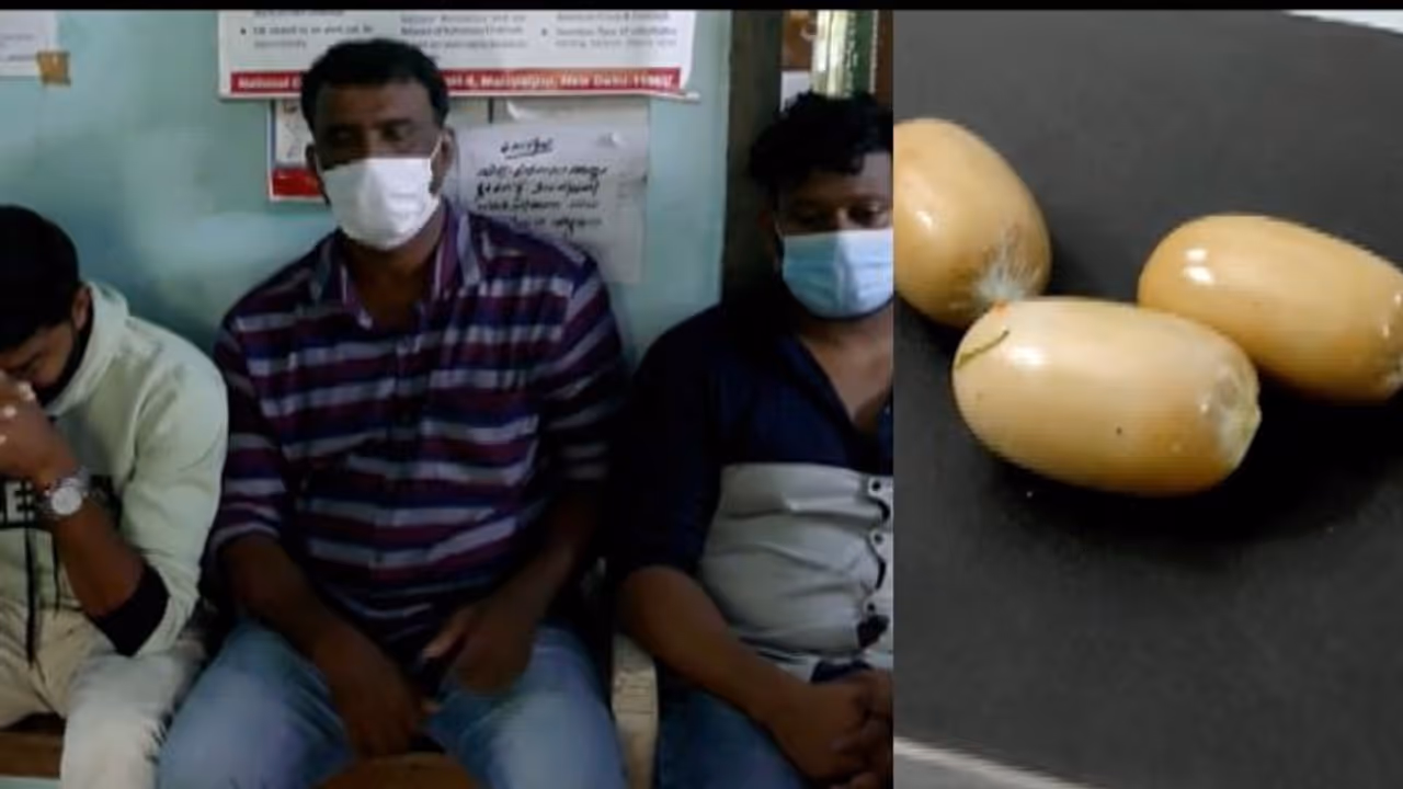 കരിപ്പൂരിൽ സ്വര്ണം പിടികൂടി; ഒന്നേമുക്കാൽ കിലോ കടത്തിയത് കാപ്സ്യൂൾ രൂപത്തിൽ ശരീരത്തിലൊളിപ്പിച്ച് കരിപ്പൂരിൽ സ്വര്ണം പിടികൂടി; ഒന്നേമുക്കാൽ കിലോ കടത്തിയത് കാപ്സ്യൂൾ രൂപത്തിൽ ശരീരത്തിലൊളിപ്പിച്ച്