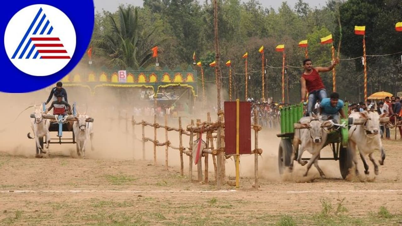 Chikkamagaluru: ಆಧುನಿಕ ಭರಾಟೆ ಮಧ್ಯೆಯೂ ನೋಡುಗರ ಮನಸೆಳೆದ ಎತ್ತಿನಗಾಡಿ ಸ್ಪರ್ಧೆ Chikkamagaluru: ಆಧುನಿಕ ಭರಾಟೆ ಮಧ್ಯೆಯೂ ನೋಡುಗರ ಮನಸೆಳೆದ ಎತ್ತಿನಗಾಡಿ ಸ್ಪರ್ಧೆ