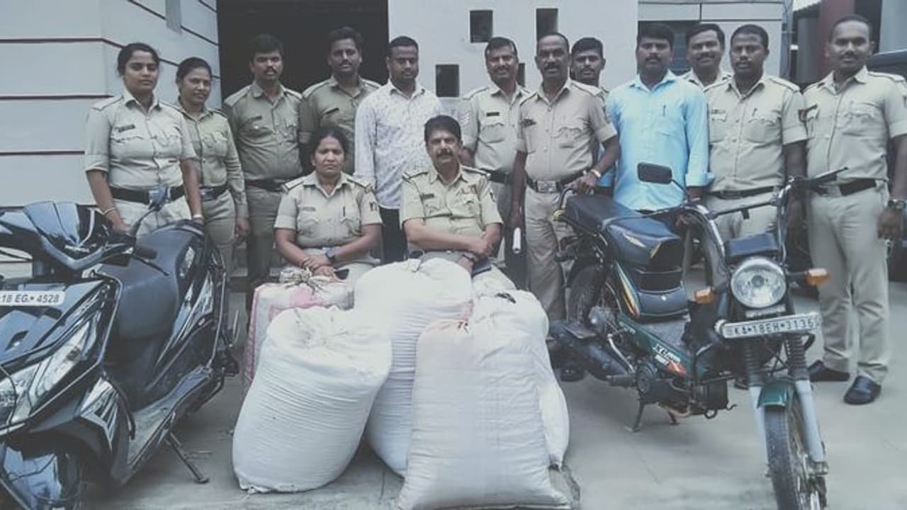 ಕಾಳುಮೆಣಸಿಗೆ ಫುಲ್ ಡಿಮ್ಯಾಂಡ್ , ಕಳ್ಳರ ಕಾಟ ವಿಪರೀತ! ಕಾಳುಮೆಣಸಿಗೆ ಫುಲ್ ಡಿಮ್ಯಾಂಡ್ , ಕಳ್ಳರ ಕಾಟ ವಿಪರೀತ!