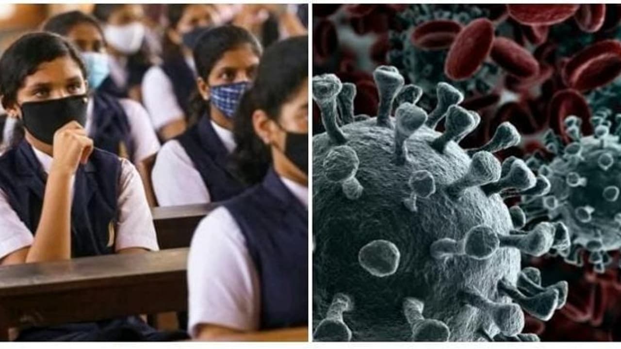 மீண்டும் லாக் டவுனா..? ஒரே நாளில் 1805 பேருக்கு கொரோனா பாதிப்பு..! அதிர்ச்சியில் மத்திய அரசு மீண்டும் லாக் டவுனா..? ஒரே நாளில் 1805 பேருக்கு கொரோனா பாதிப்பு..! அதிர்ச்சியில் மத்திய அரசு