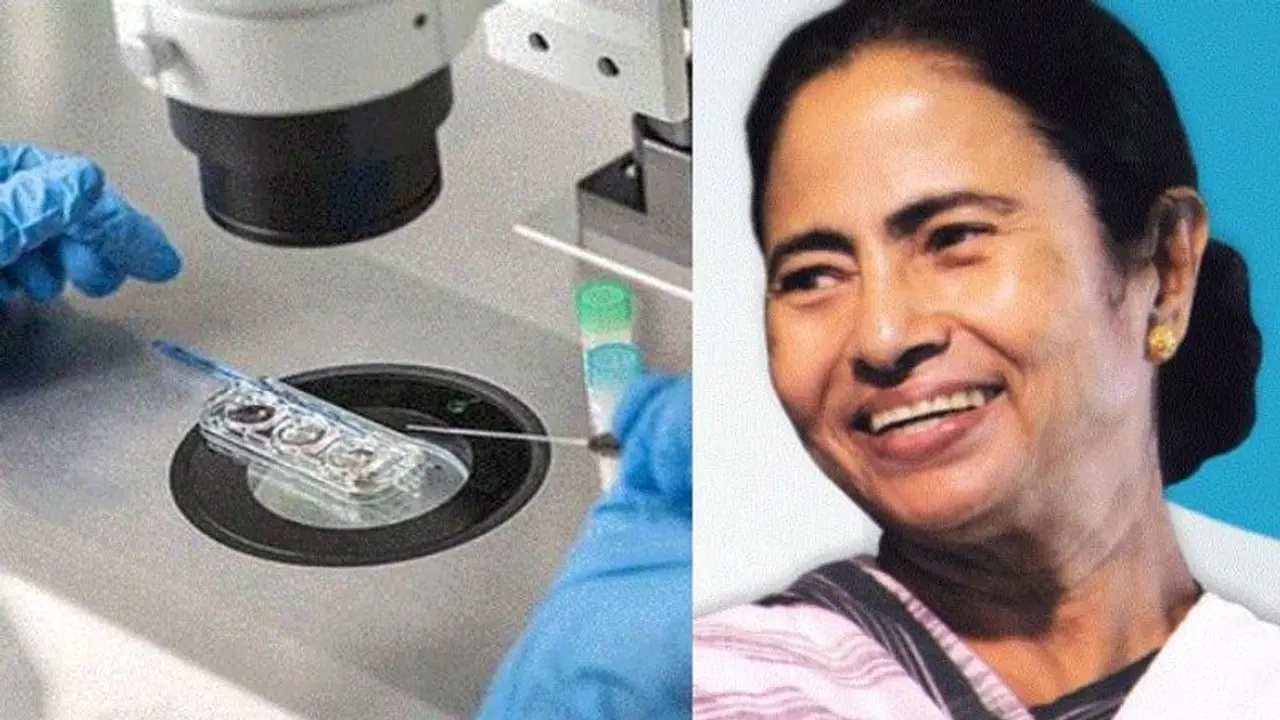 টেস্ট টিউব বেবি এবার সরকারি হাসপাতালে, আগামী সপ্তাহেই শুরু মমতার স্বপ্নের প্রকল্প এসএসকেম এ টেস্ট টিউব বেবি এবার সরকারি হাসপাতালে, আগামী সপ্তাহেই শুরু মমতার স্বপ্নের প্রকল্প এসএসকেম এ