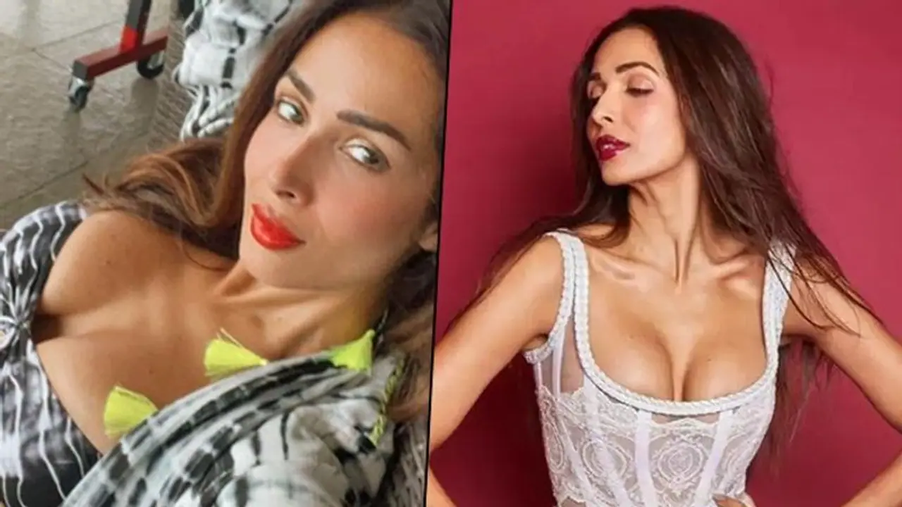 বক্ষ বিভাজিকায় নেশা জাগানো মালাইকা আদতে কী হতে চেয়েছিলেন জানেন? শুনলে ভিড়মি খাবেন